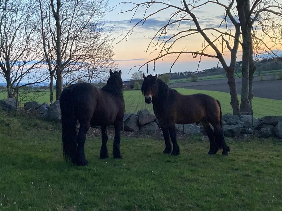 Fin Laegenhet Mitt Pa Bjaerehalvoen Appartement Båstad Buitenkant foto